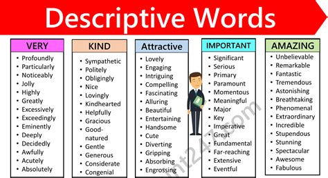 Explanatory Text Example 的图像结果