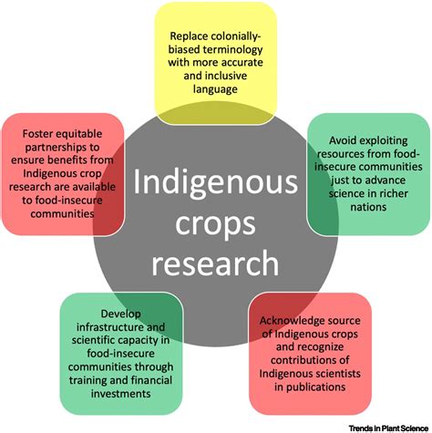 Renaming Indigenous crops and addressing colonial bias in scientific ...