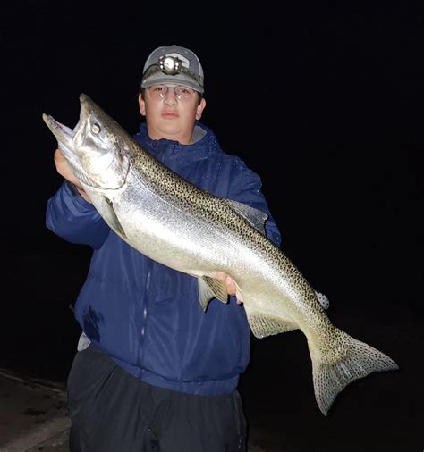 Salmon fishing rod lake michigan : r/Fishing