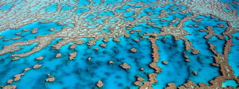 ESG in the Consumer & Retail Industry – Key Legal Issues and Risks ...