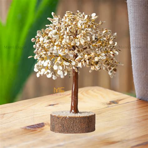Gomtichakra Tree for prosperity and vastu showpiece – Maitri Export ...