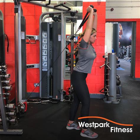 Cable Rope Triceps Extension A2ZCARE Tricep Rope Cable Attachment, 27"