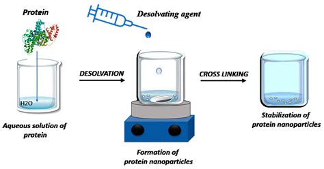 Bio-Entities Based on Albumin Nanoparticles and Biomimetic Cell ...
