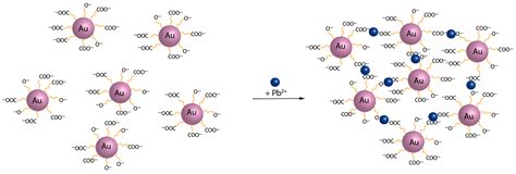Selective Colorimetric Detection of Pb(II) Ions by Using Green ...