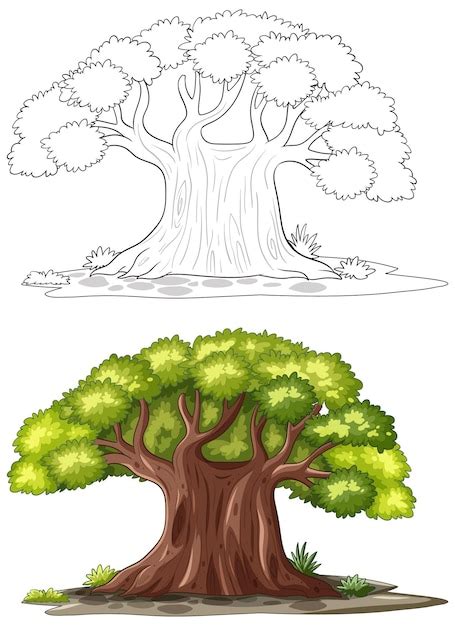 Baum Zeichnung Bilder - Kostenloser Download auf Freepik