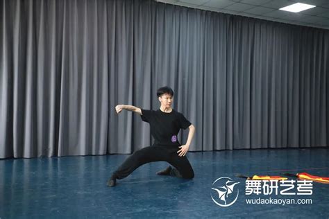 大学生舞蹈晚会策划方案5篇模板下载_舞蹈_图客巴巴