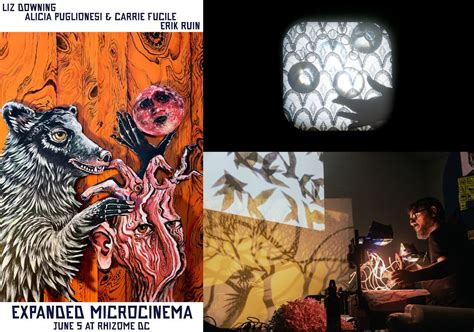 Expanded Microcinema: Liz Downing / Alicia Puglionesi & Carrie Fucile ...
