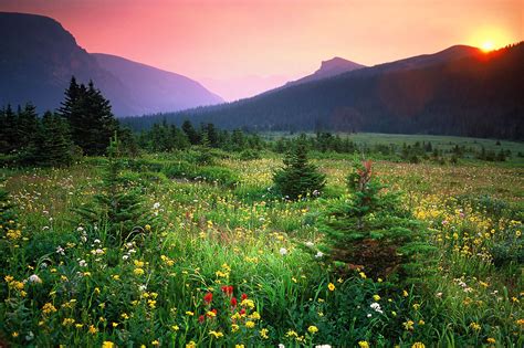 Image result for Nature Musical Instruments
