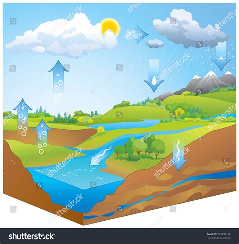 Condensation Process Explained 的图像结果