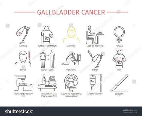 Gallbladder Cancer Symptoms Treatment Line Icons Stock Illustration 620418344