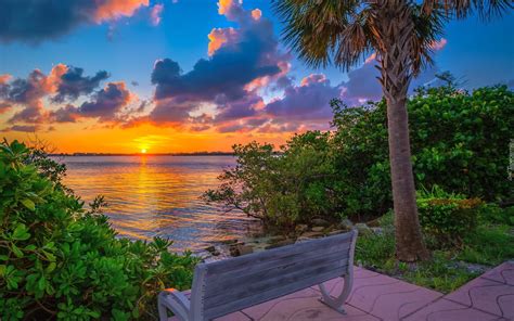 Ławka pod palmą z widokiem na zachód słońca nad jeziorem Lake Worth Lagoon