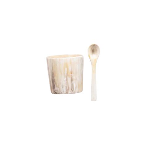 Ankole Horn Salt Cellar + Spoon Set – Abroad Modern
