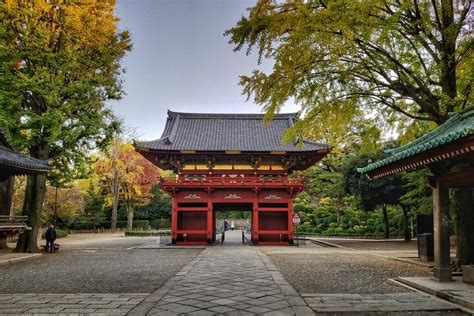 Yanesen Nostalgic Walking Tour | Nezu, Japan