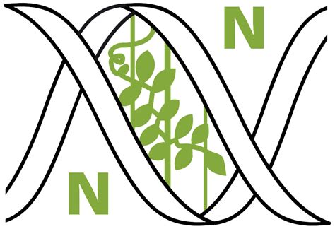 Microorganisms | Society Collaborations