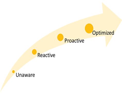 Image result for Software Asset Management Maturity Map
