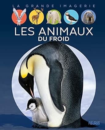 Amazon.in: Buy Les animaux du froid Book Online at Low Prices in India ...
