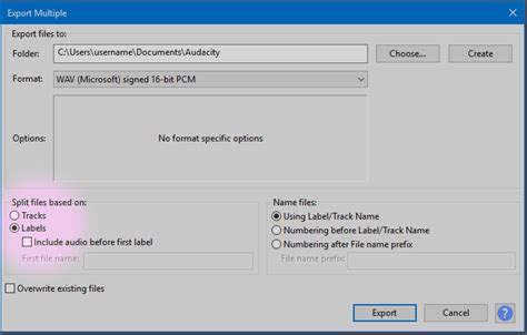 Image result for Audacity Export Labels