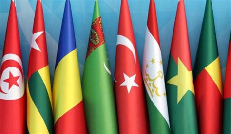 OIC expresses concern over CAA; says 'closely' following developments ...