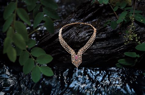 An ode to Indian flora and fauna on the Paris Haute Couture Week runway ...
