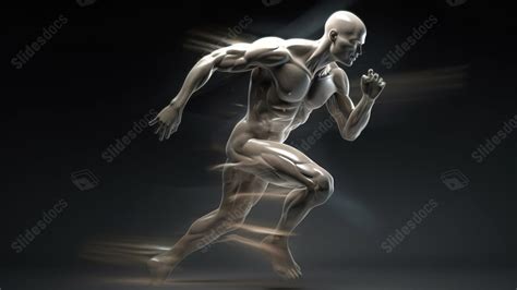 Animated Human Body 的图像结果