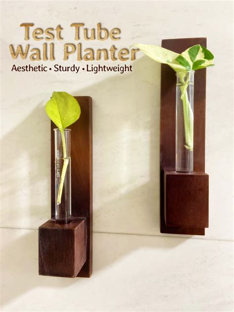 Test Tube Plant Holder - Buy Wooden Test Tube Planter Online in India