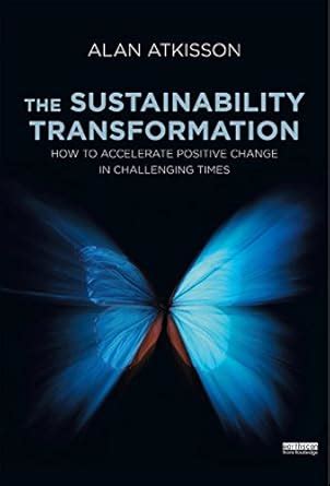 The Sustainability Transformation: How to Accelerate Positive Change in ...