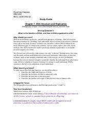 Image result for Chapter 7 Study Guide