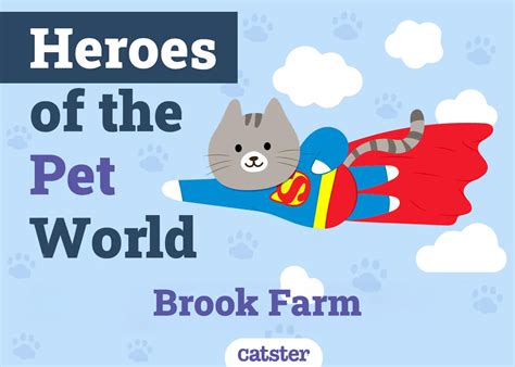 PVC Cat Tree 的图像结果