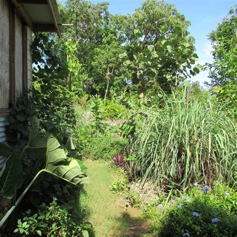 LATTECHA WILLOCKS GALLERY (2025) All You Need to Know BEFORE You Go ...