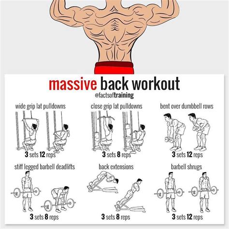 Image result for Workout Back Routine