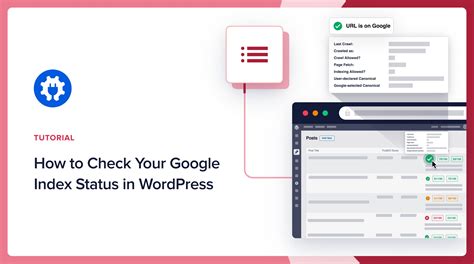 Image result for How to Check Google Index Status