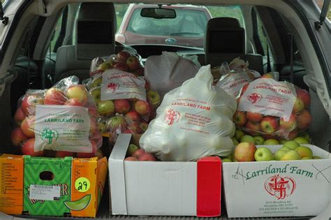 Picking Apples for Howard County Food Bank