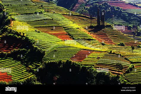 Image result for Java Field Example