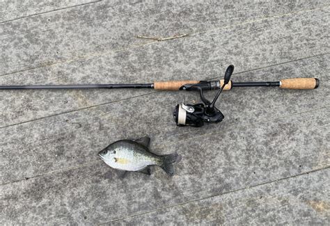 How to Troubleshoot Common Spinning Reel Problems: Expert Tips ...