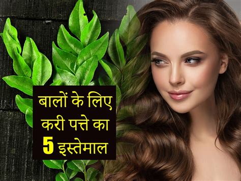 बेजान बालों में जान ला सकता है करी पत्ता, जानें इस्तेमाल के 5 तरीके और ...
