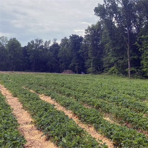 Orchard Information - Bauman Orchards