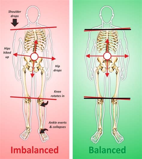 Image result for Activator Method Testing Meniscus