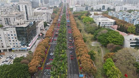 视频 | （中山慈善万人行 争创全国文明典范城市巡游活动）中山各类“非遗”表演精彩纷呈 市民一饱眼福