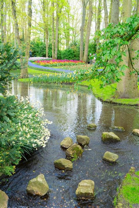 Spring Water Pond 的图像结果