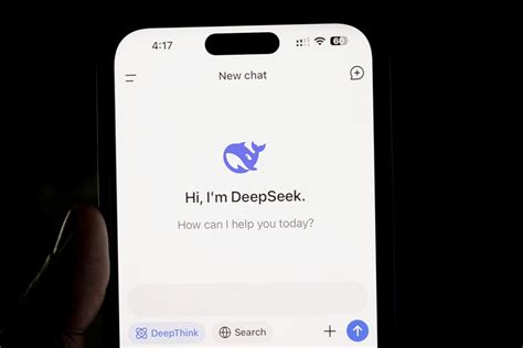 Deepseek API Key in the Code 的图像结果
