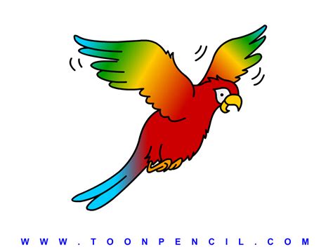 Image result for How to Draw Parrot Flying