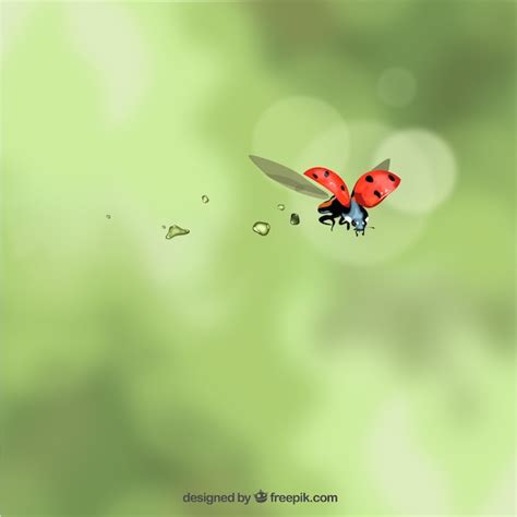 Image result for Ladybug Flying