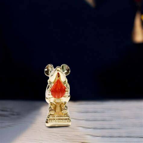 Shop Gold Mushak Idol Online | Wemy