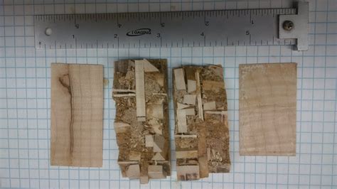 Block Build Train 的图像结果