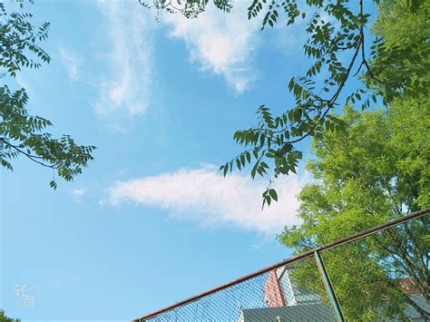 夏季摄影作品欣赏 - 夏雨 - 玉渊潭官方网站