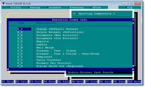 Info - The Execution Codes