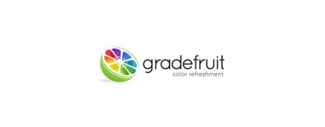 Colorful Logo Design 的图像结果