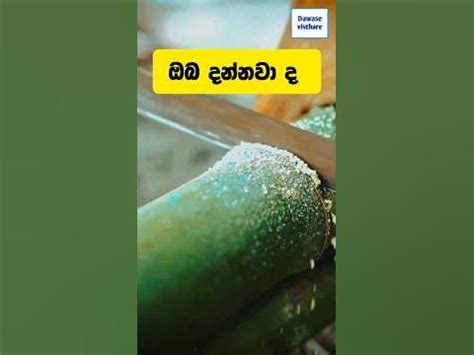 Image result for Course Line Up Examples