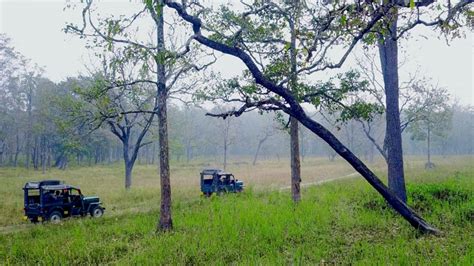 Wayanad Wildlife Sanctuary Wayanad - Hi Wayanad Tourist Places