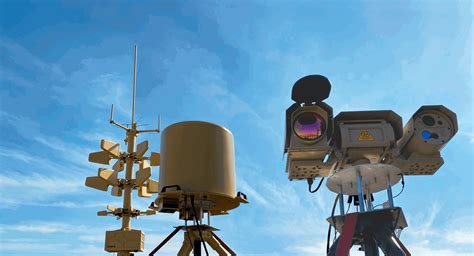 Alien Invasive Insects 的图像结果